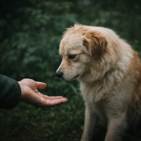 ChatGPT Image 2026년 1월 23일 오후 06_16_07