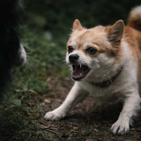 ChatGPT Image 2026년 1월 23일 오후 06_42_43