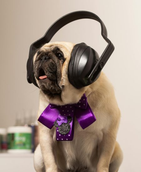 pexels-brenocardosofotografia-8530859