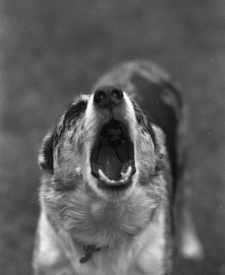 pexels-chris-black-78566801-17253255