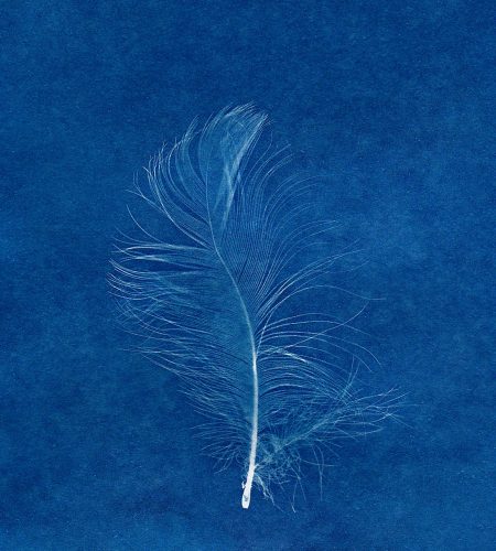 pexels-fotios-photos-33216616