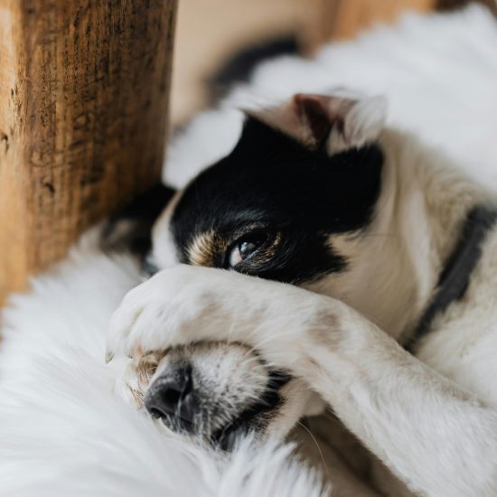 pexels-karola-g-4197483