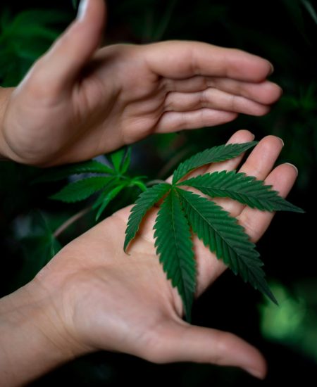 pexels-kindelmedia-7667700