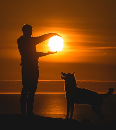 pexels-kournoutis-9329558