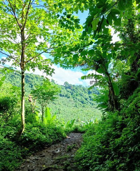 pexels-riza-zoilo-297998932-13304740